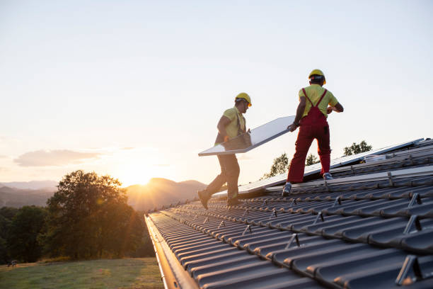 Best Roof Moss and Algae Removal  in Lake Wylie, SC